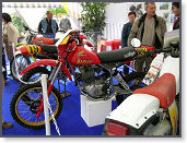 Copie de 500 HB d'olivier